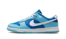 Nike Dunk Low Retro Argon