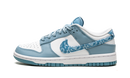 Nike Dunk Low Essential Paisley Pack Worn