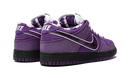 Concepts x Nike Dunk Low Purple Lobster