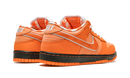 Concepts x Nike SB Dunk Low Orange Lobster