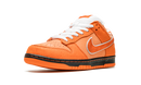 Nike SB Dunk Concepts Orange Lobster